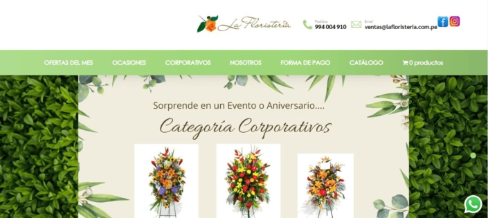 desarrollo página tienda online comercio electrónico